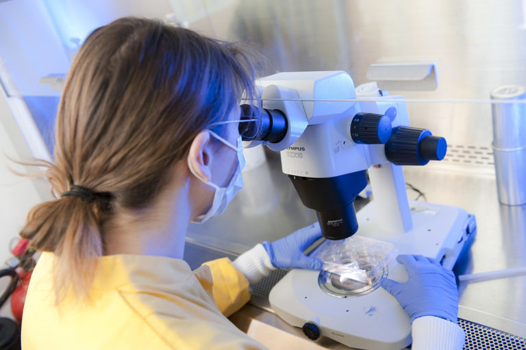 Beitragsbild für Weiterbildungen für Doktoranden